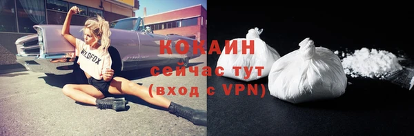 СК Бородино