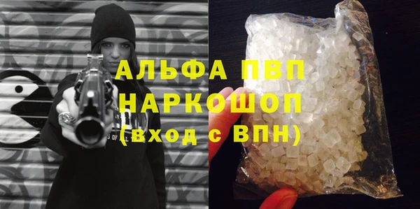 СК Бородино